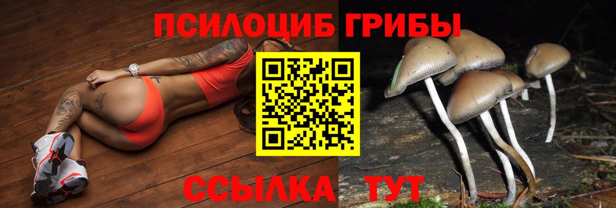 закладки  Галлюциногенные грибы Magic Shrooms  Вход с VPN  Казань  Псилоцибиновые грибы мицелий 