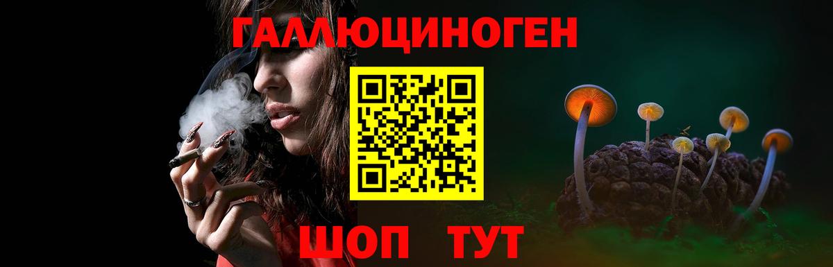 Галлюциногенные грибы ЛСД Казань
