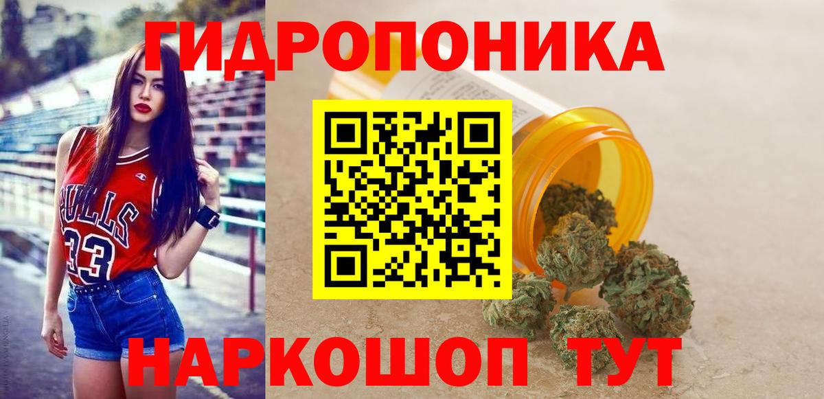 Канабис сатива Казань